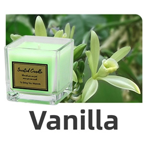 Vanilla